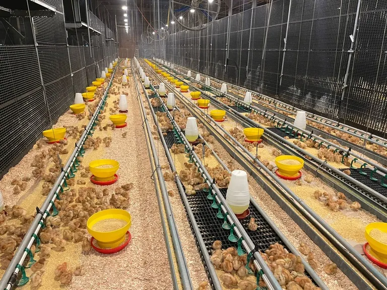 Foto: Divulgação/Ministério da Agricultura e Pecuária