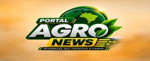 Portal de notícias